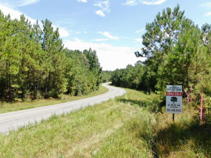 Timberland Property in Wayne County, Mississippi