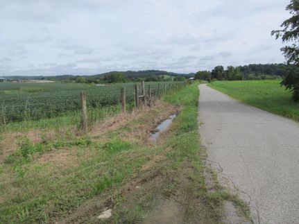 Farm and Ranch in Lewis County, Kentucky