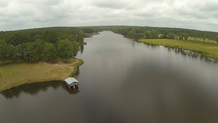 Farm and Ranch in Crenshaw County, Alabama