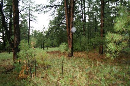 Land in Sandoval County, New Mexico