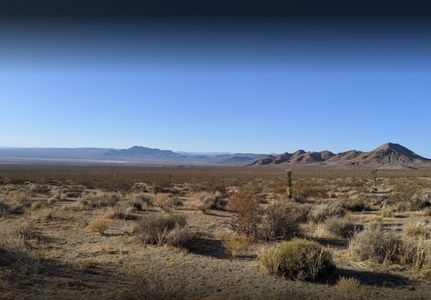 Timberland Property in San Bernardino County, California