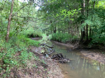 Undeveloped Land in Madison County, Mississippi