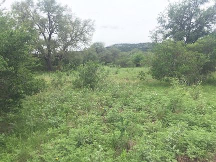 Undeveloped Land in Uvalde County, Texas