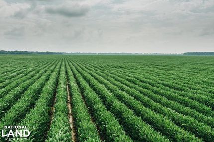 Timberland Property in Coahoma County, Mississippi