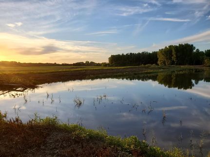 Farm and Ranch in Adams County, Illinois