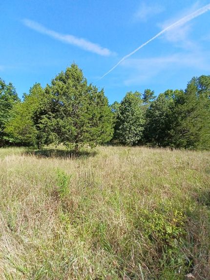 Undeveloped Land in Howell County, Missouri