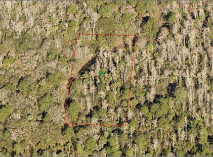Timberland Property in Volusia County, Florida