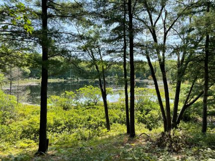 Commercial Property in Lake County, Michigan
