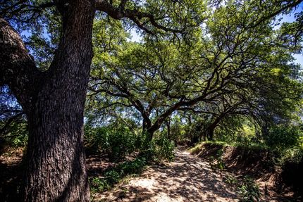 Land in Mills County, Texas