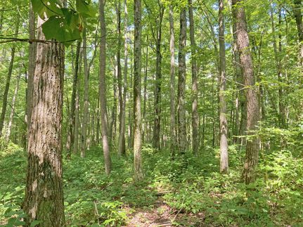 Farm and Ranch in Raleigh County, West Virginia
