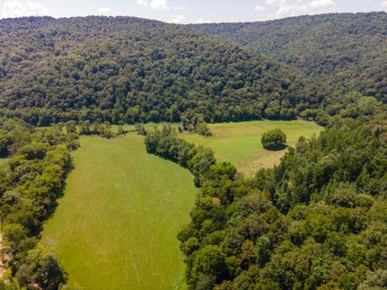 Timberland Property in Franklin County, Tennessee