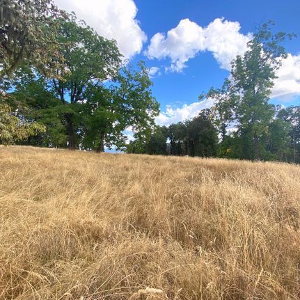 Undeveloped Land in Linn County, Oregon