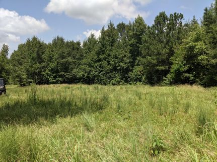 Recreational Property in Chattahoochee County, Georgia