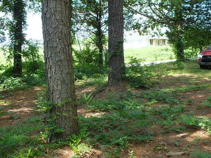 Farm and Ranch in Johnston County, North Carolina