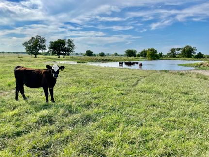 Farm and Ranch in Okmulgee County, Oklahoma