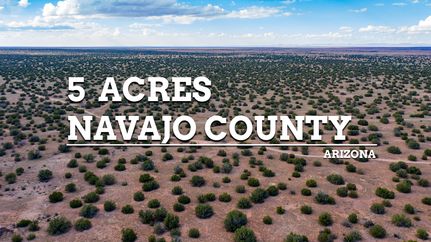 Undeveloped Land in Navajo County, Arizona