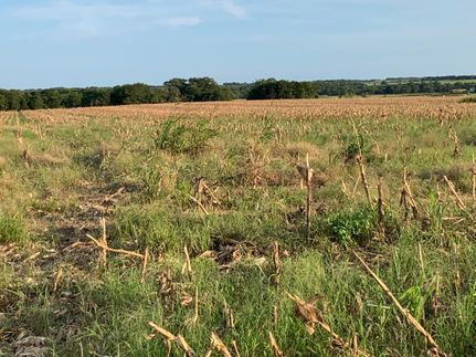 Undeveloped Land in Williamson County, Texas