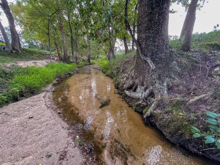 Undeveloped Land in Leon County, Texas