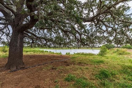 Farm and Ranch in Atascosa County, Texas