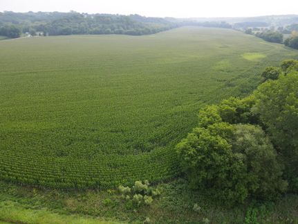 Land in Olmsted County, Minnesota