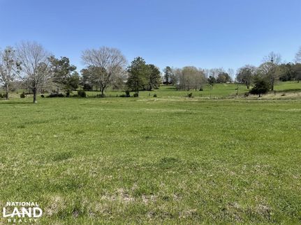 Farm and Ranch in Newton County, Mississippi