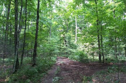 Recreational Property in Forest County, Wisconsin