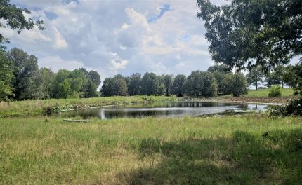 Timberland Property in Atoka County, Oklahoma