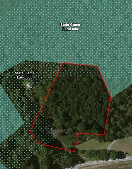 Timberland Property in Perry County, Pennsylvania