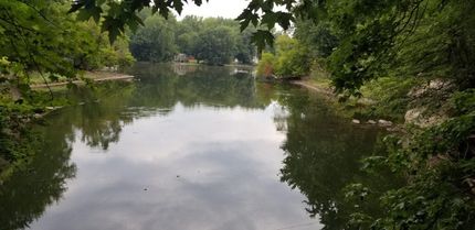 Waterfront Property in Cayuga County, New York