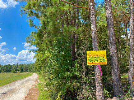 Farm and Ranch in Trinity County, Texas