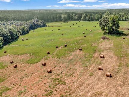 Farm and Ranch in San Augustine County, Texas