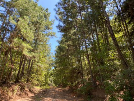 Land in Trinity County, Texas