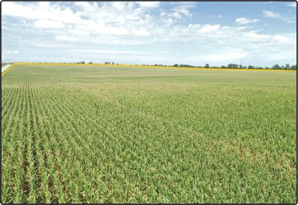 Land in Johnson County, Iowa