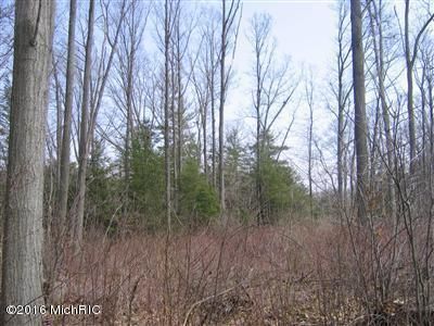 Undeveloped Land in Allegan County, Michigan
