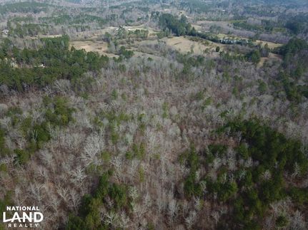 Undeveloped Land in Blount County, Alabama