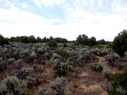 Homesite in Costilla County, Colorado