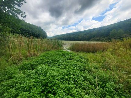 Waterfront Property in Steuben County, New York