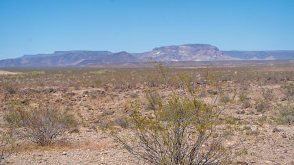 Farm and Ranch in Mohave County, Arizona