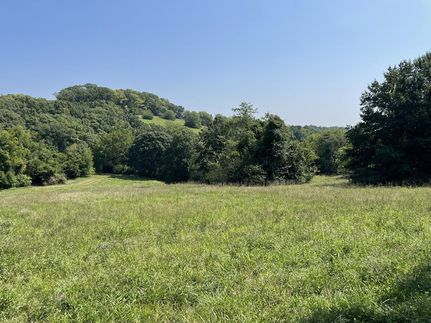 Undeveloped Land in Lincoln County, Missouri