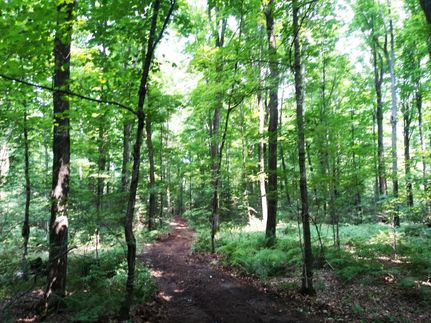 Land in Forest County, Wisconsin