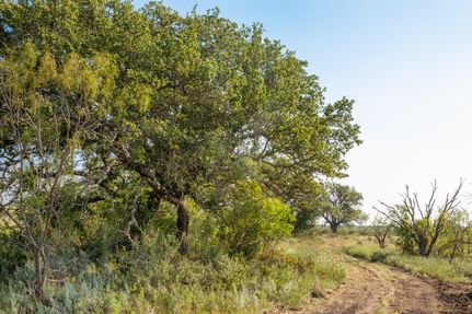 Farm and Ranch in McCulloch County, Texas