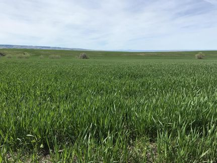 Land in Umatilla County, Oregon