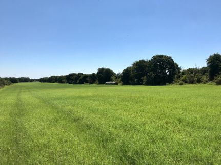 Undeveloped Land in Eastland County, Texas