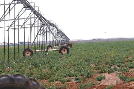 Farm and Ranch in Hale County, Texas