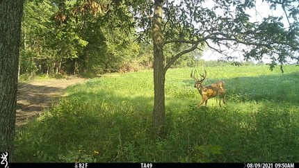 Farm and Ranch in Sullivan County, Missouri