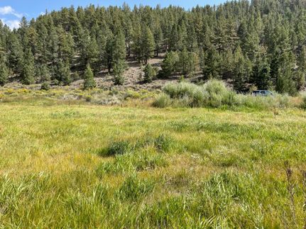 Undeveloped Land in Chaffee County, Colorado