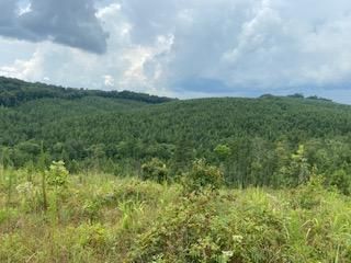 Recreational Property in Chattooga County, Georgia