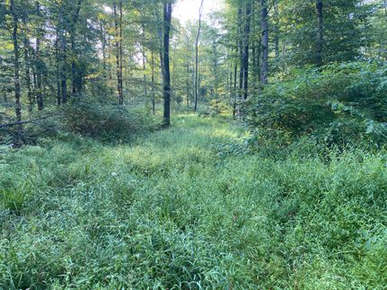 Recreational Property in Mercer County, Pennsylvania