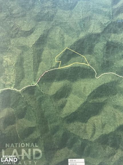 Timberland Property in Wayne County, West Virginia