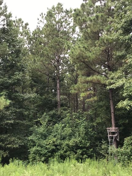 Recreational Property in Cass County, Texas